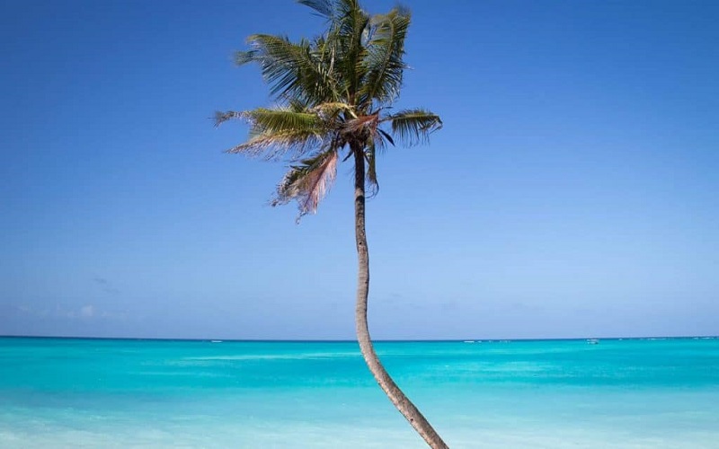 6 Days Zanzibar Blue Tour
